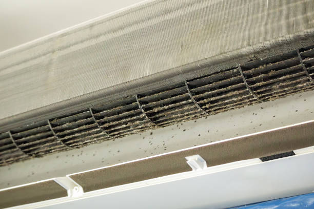 Best General Air Duct Cleaning  in Bear Creek, AK