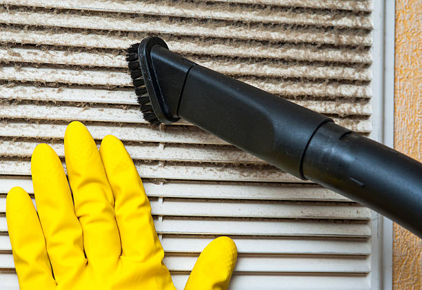 Best Affordable Duct Cleaning Services  in Bear Creek, AK
